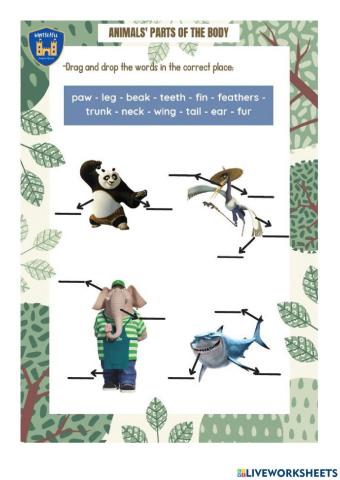 Animals' parts of the body