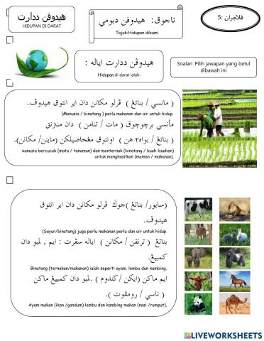 Kejadian Alam-indah nya bumi ini