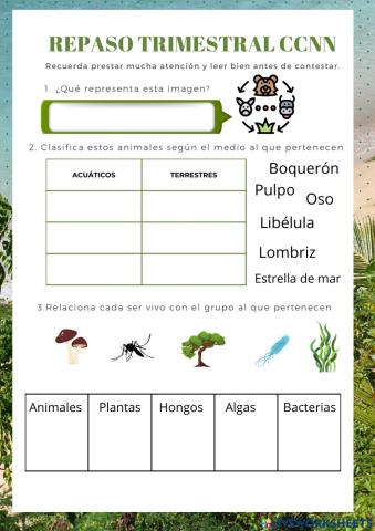 Repaso trimestral ccnn