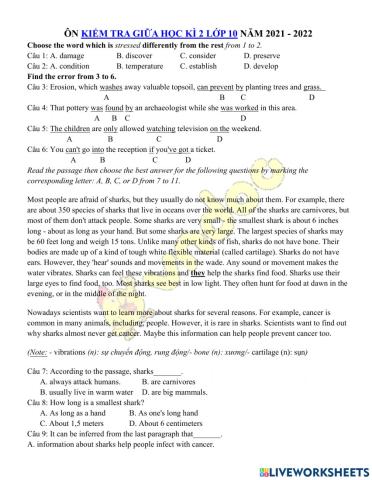 10cb - ôn giữa kỳ 2 - test 3