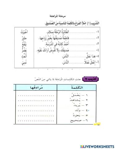 مرحلة المراهقة - مفردات