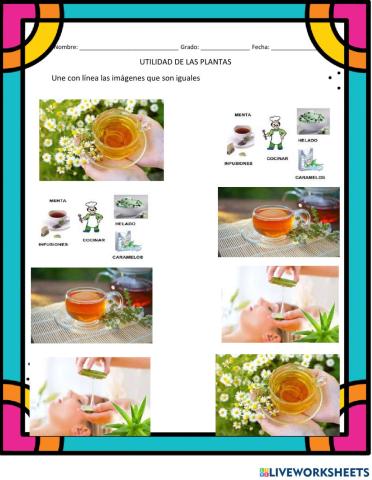 Utilidad de las plantas