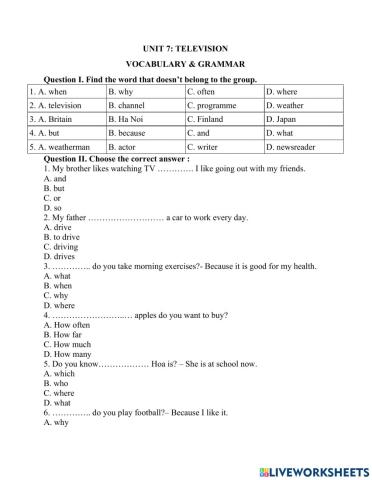 Unit 7 Television - Vocabulary & Grammar