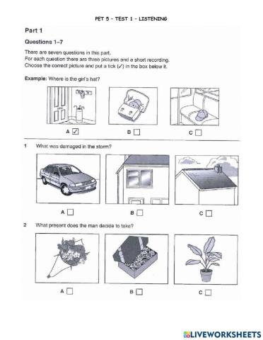 Pet 5 - test 1