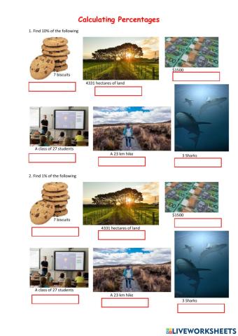 Percentage Calculations