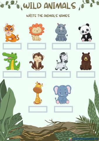 Write the wild animals' names