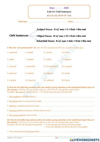 Practice on Cleft Sentences