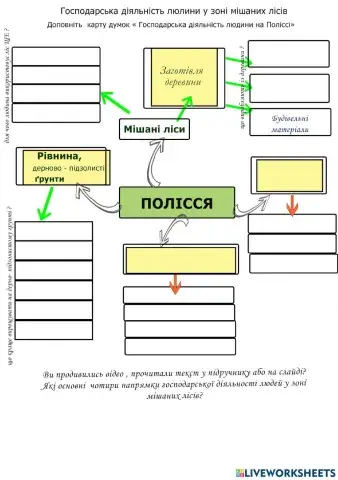 Господарська діяльність людини у зоні мішаних лісів