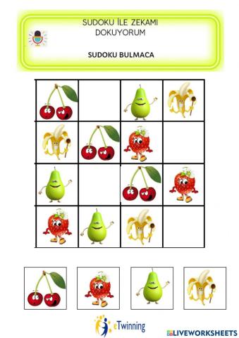 Sudoku ile zekamı dokuyorum