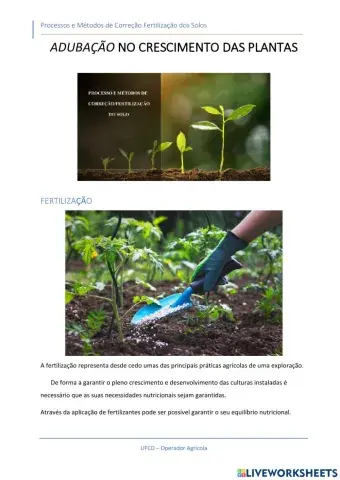 Adubação No Crescimento das Plantas