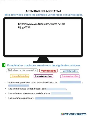 Animales vertebrados e invertebrados
