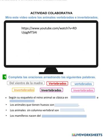 Animales vertebrados e invertebrados