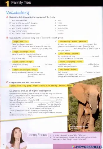 Family Ties : Vocabulary