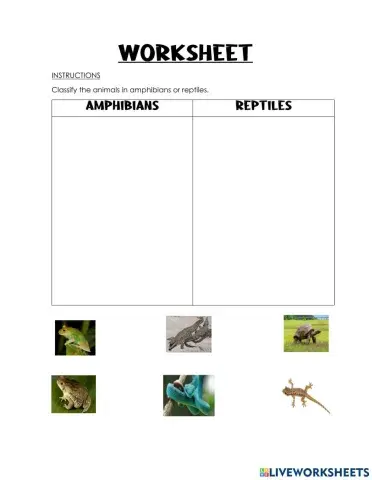Amphibians and reptiles