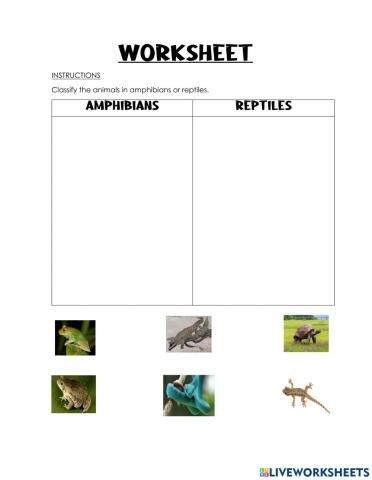 Amphibians and reptiles