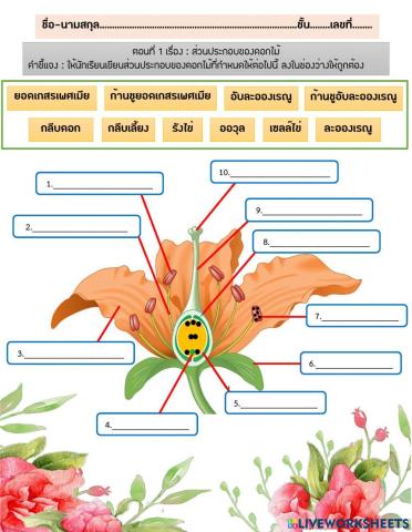 ส่วนประกอบของดอก