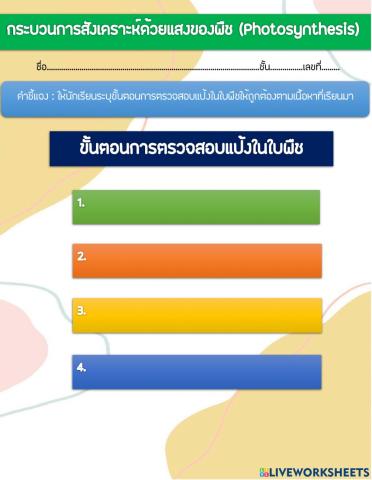 ขั้นตอนการตรวจสอบแป้งในใพืช