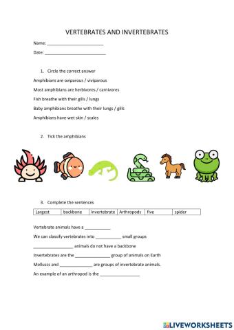 Vertebrates and Invertebrates