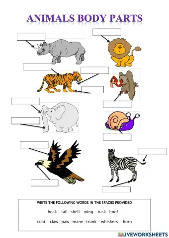 Animals and body parts