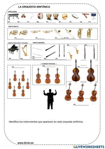 LA ORQUESTA SINFÓNICA 1