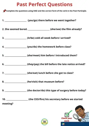 Past Perfect Questions