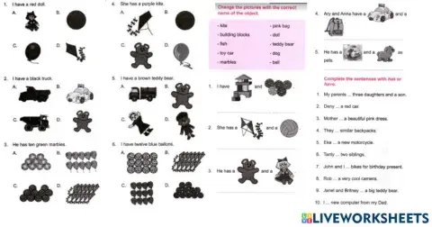 Sm sd 5 english using have and has 1