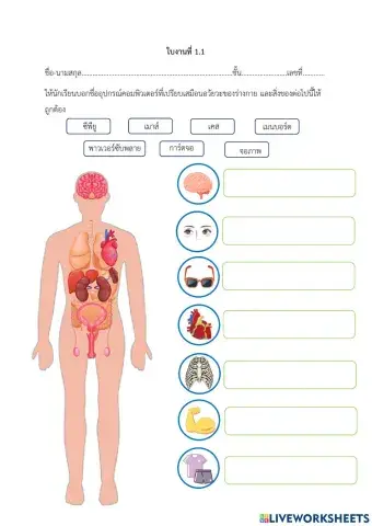 องค์ประกอบของคอมพิวเตอร์