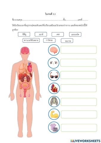 องค์ประกอบของคอมพิวเตอร์