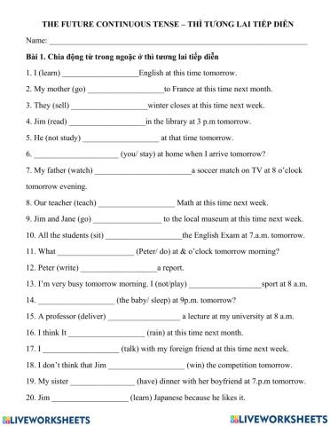 The future continuous tense