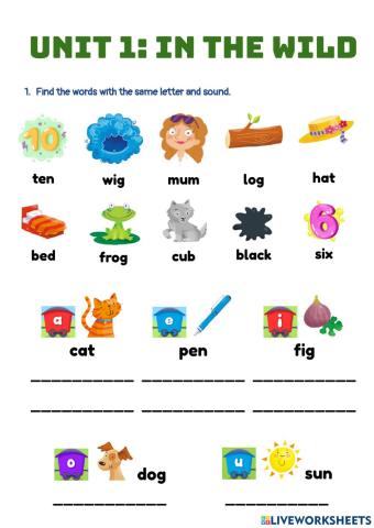 Unit 1 - In the wild (phonics and grammar)