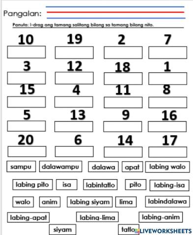Number and Number Word