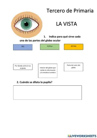 El ojo