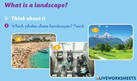 What is a landscape?