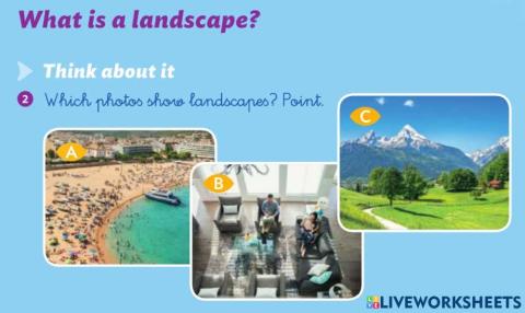 What is a landscape?