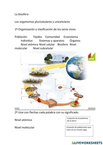 Los organismos pluricelulares y unicelulares
