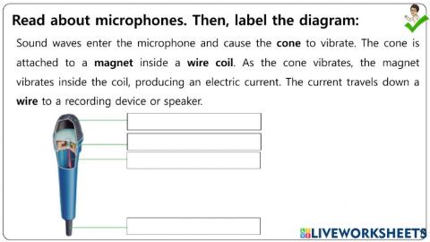 Electricity & Magnetism WORKSHEETS (2)