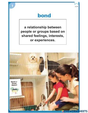 Vocabulary Words Lesson 24