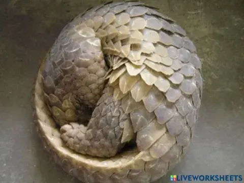 Ciri-ciri khas haiwan untuk berlindung daripada musuh