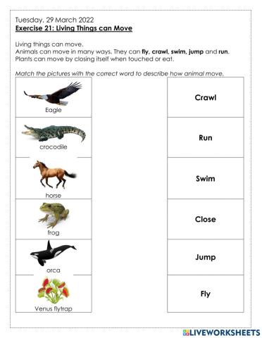 Living Things can Move