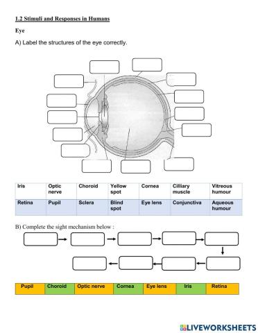 Chapter 1 Stimuli and Responses