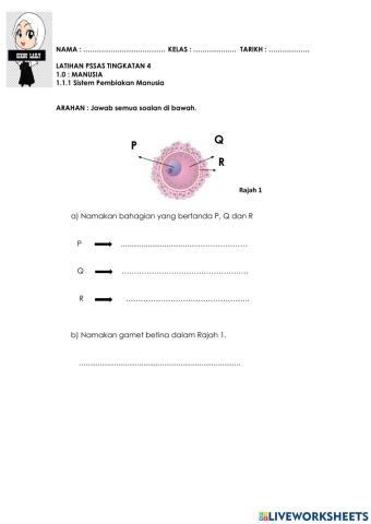 Sistem pembiakan manusia