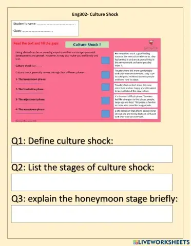 Eng302-Culture shock