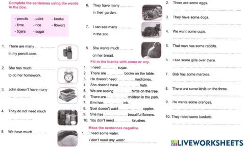 Sm sd 5 english quantifiers much many some any 2