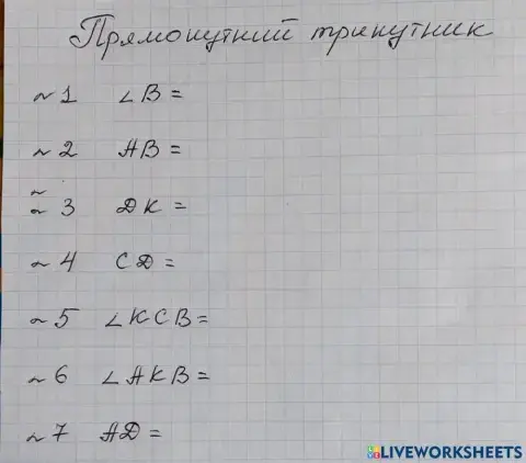 Прямокутний трикутник