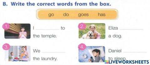 Write the correct words from the box.