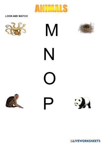 Letters M-N-O-P