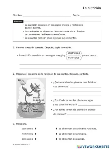 Nutrición de las Plantas