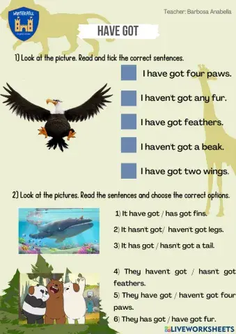 Have got - has got animals