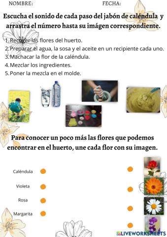 Ficha interactiva para trabajar el jabón de caléndula