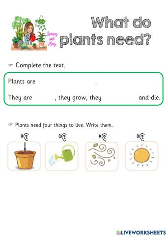 What do plants need